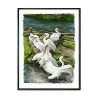 Пеликани почивка близо до река вода рамка живопис платно Арт Принт
